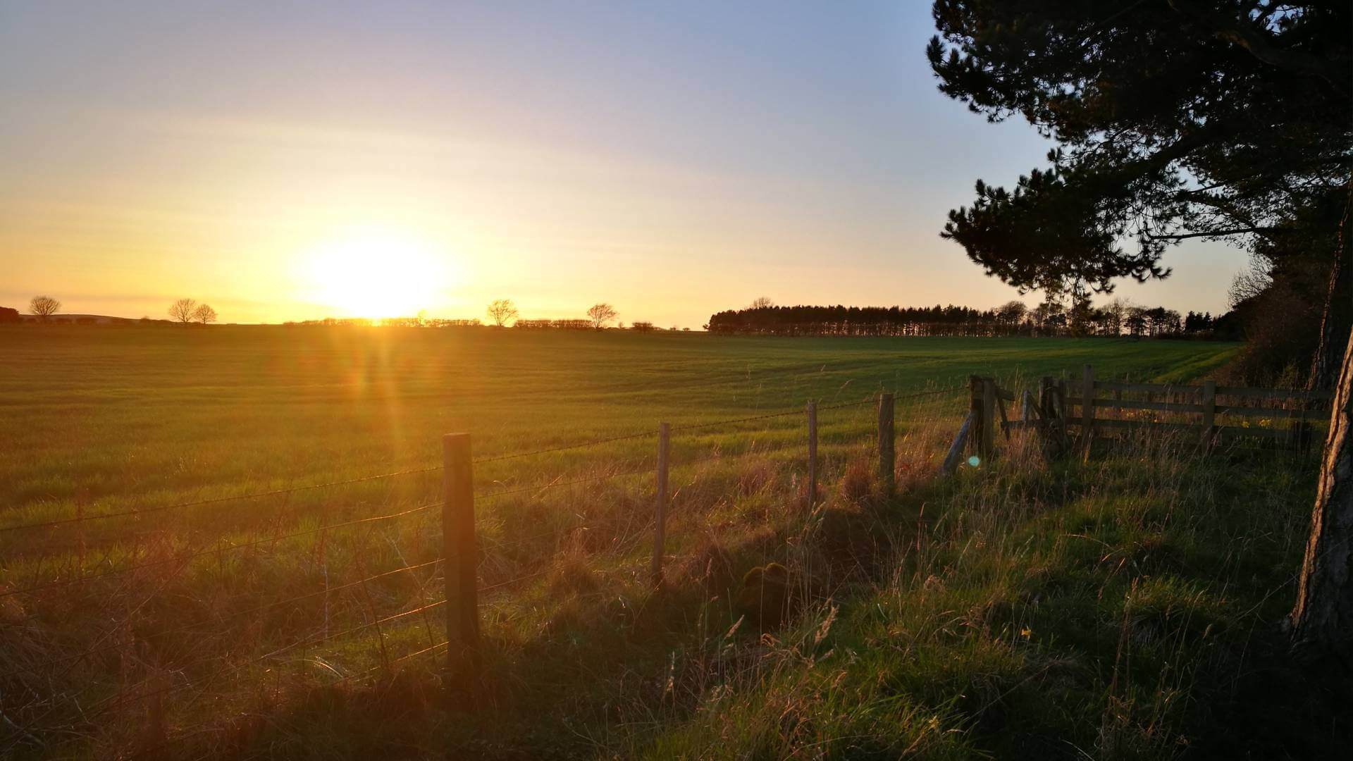 Laverock Law Cottages & Glamping