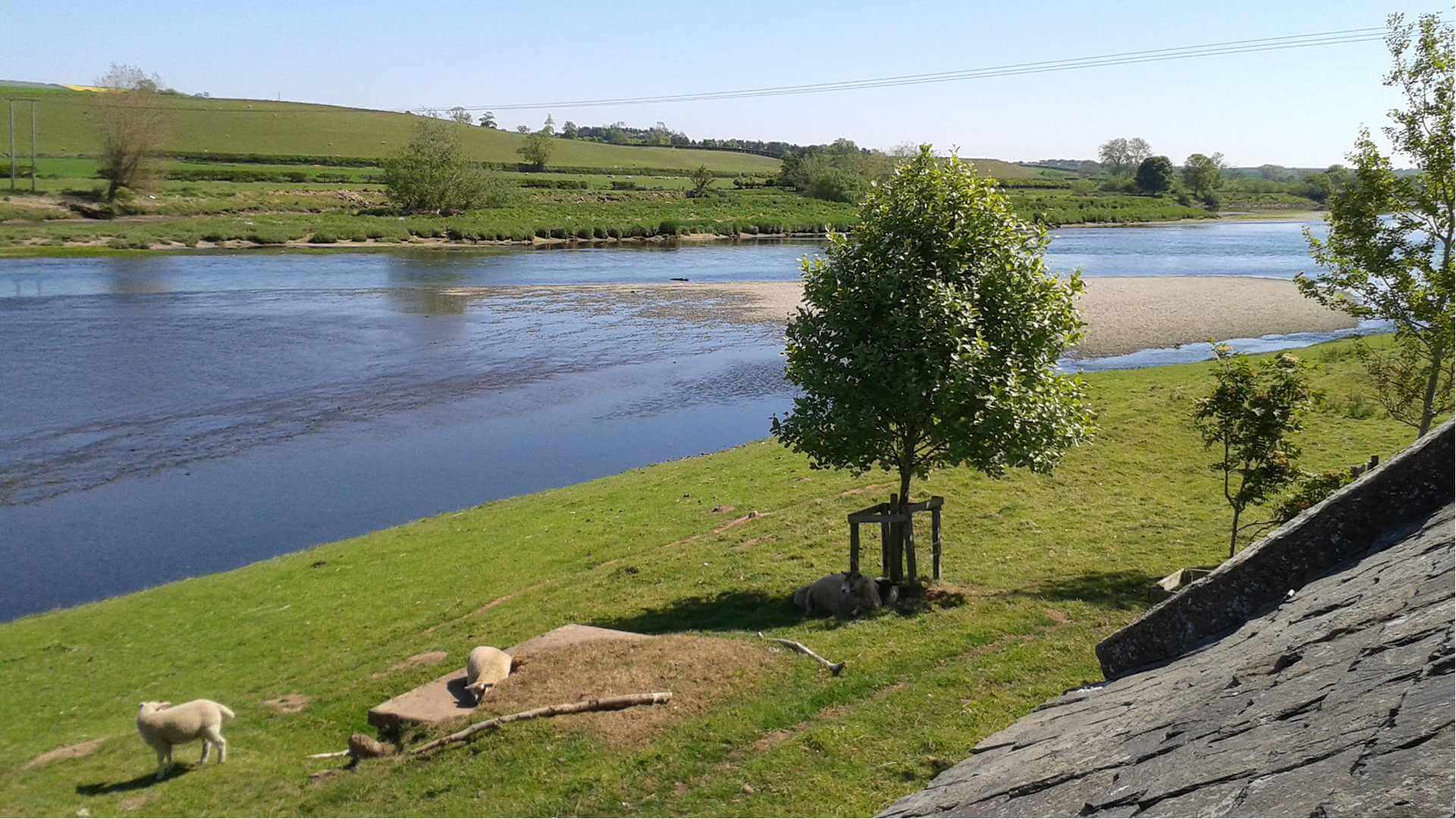 View from South Bells