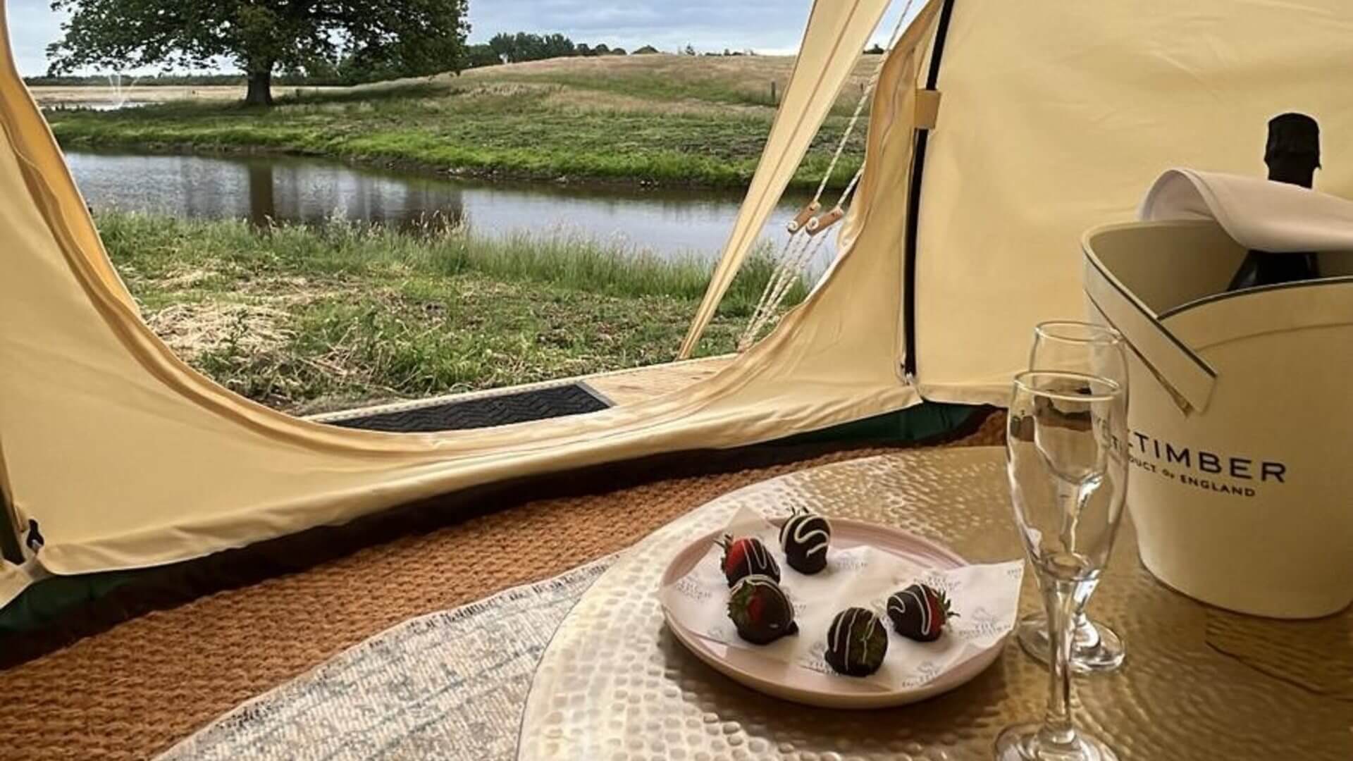 Fizz and view
