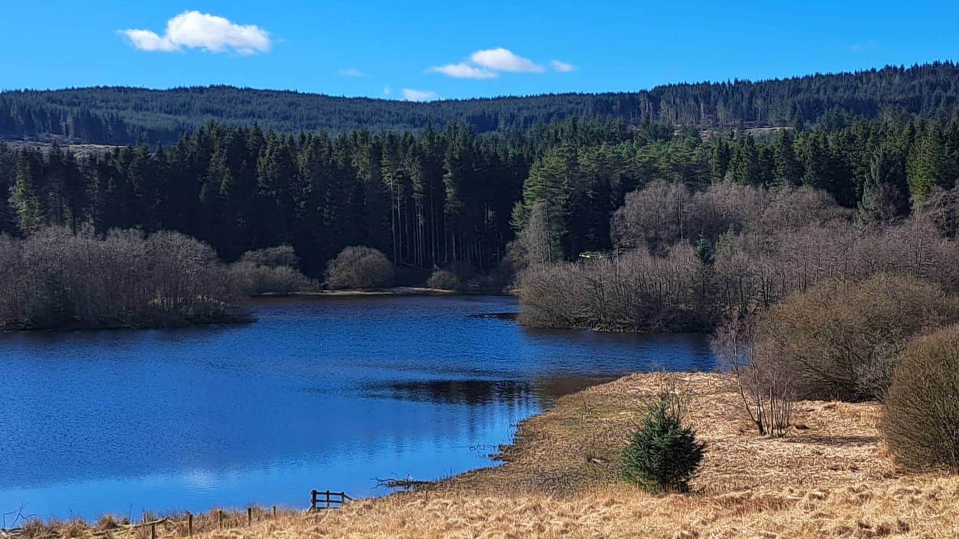 Kielder