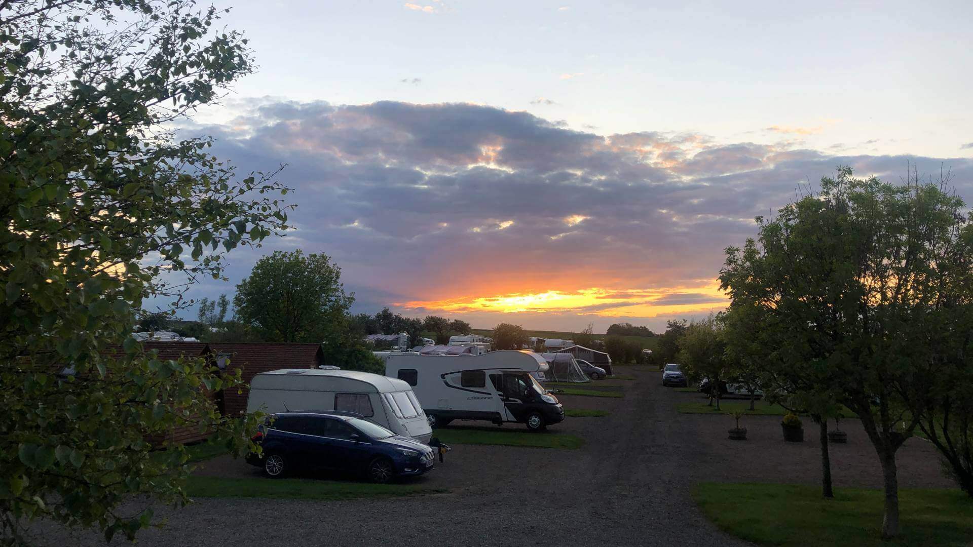 Sunset evenings at Springhill Farm