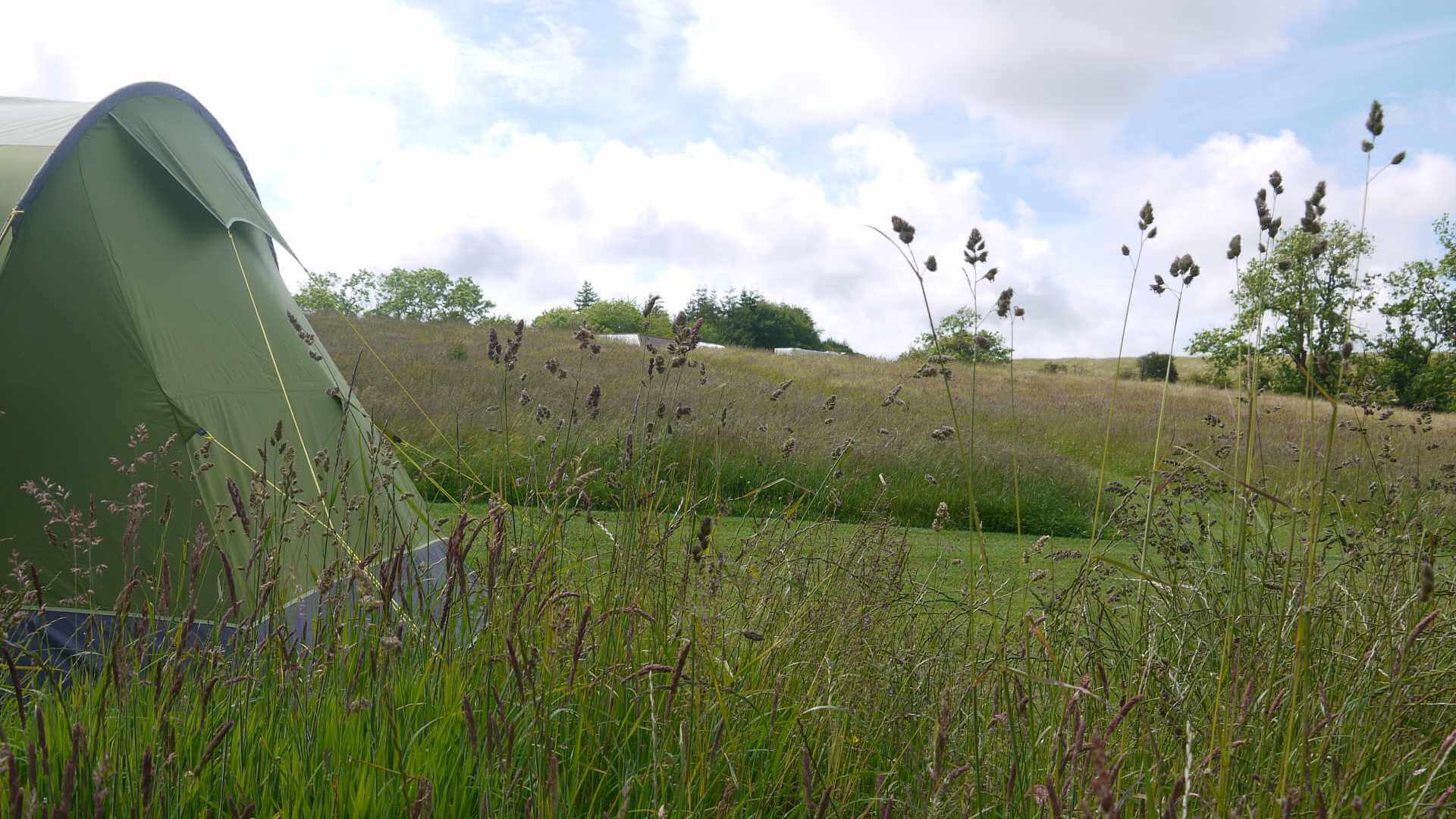 Meadow at Walkmill