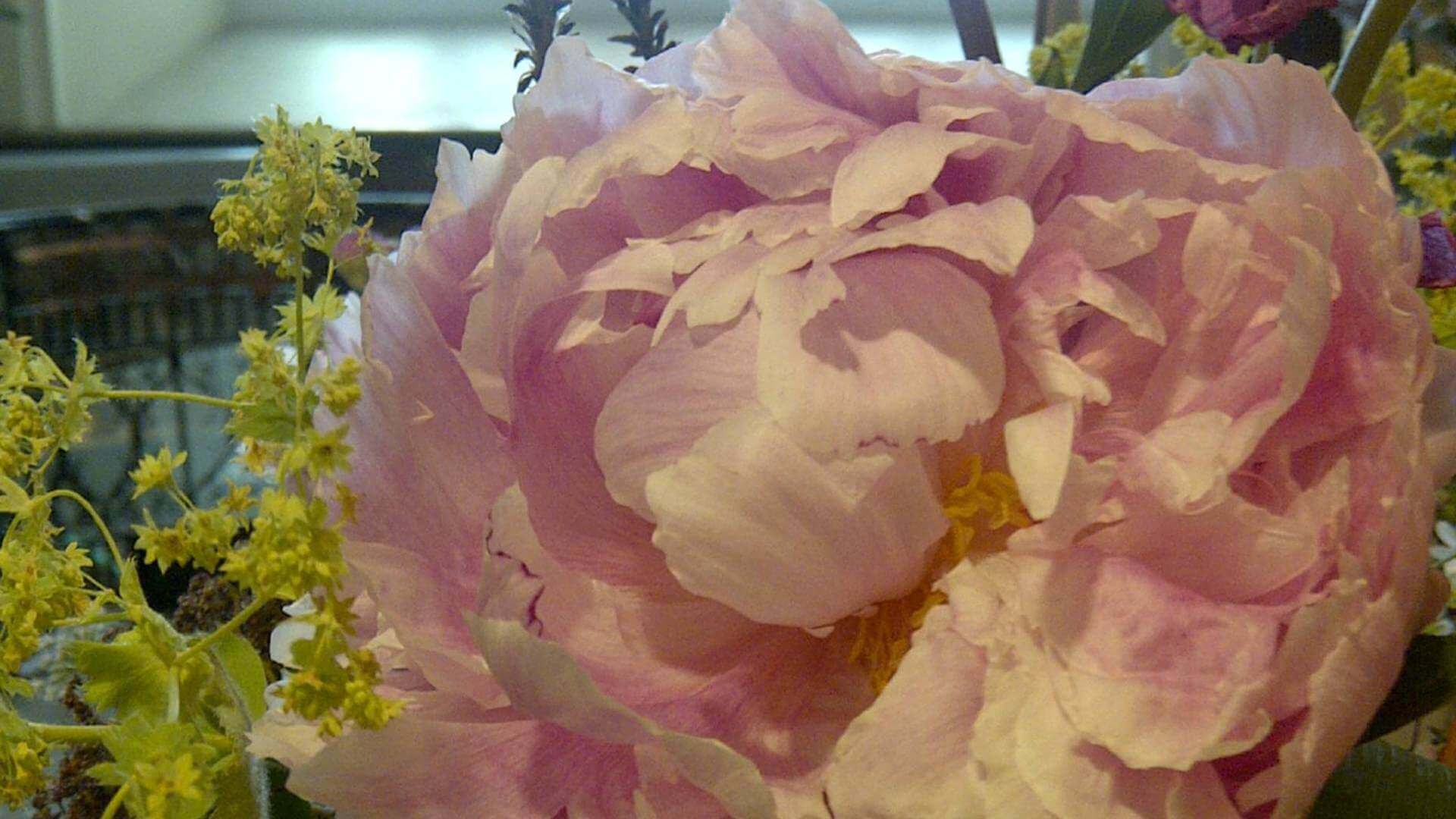 Perfume workshop