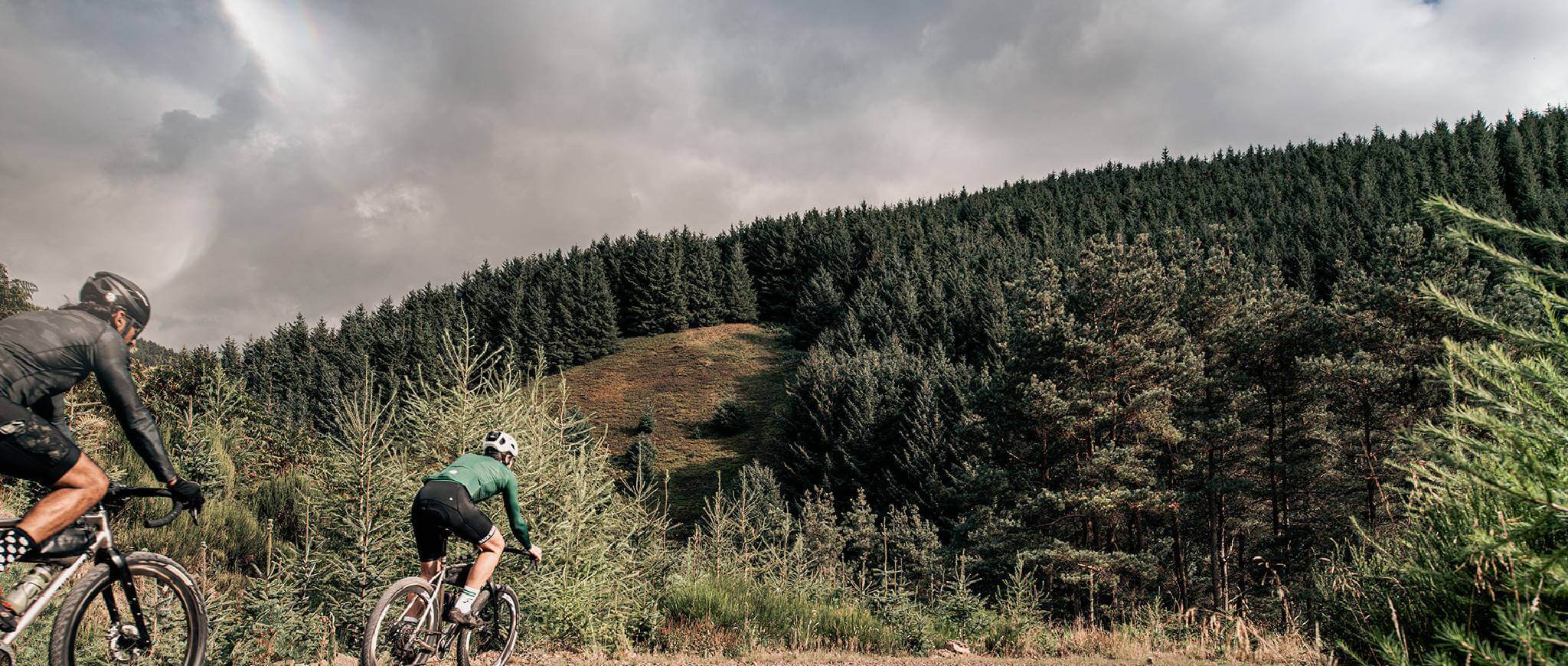 Cyclists at Kielder Water & Forest Park