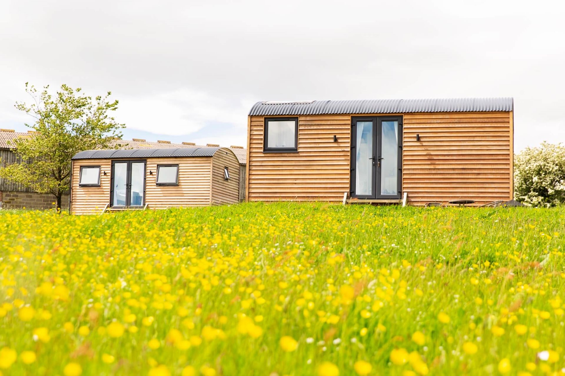 The huts
