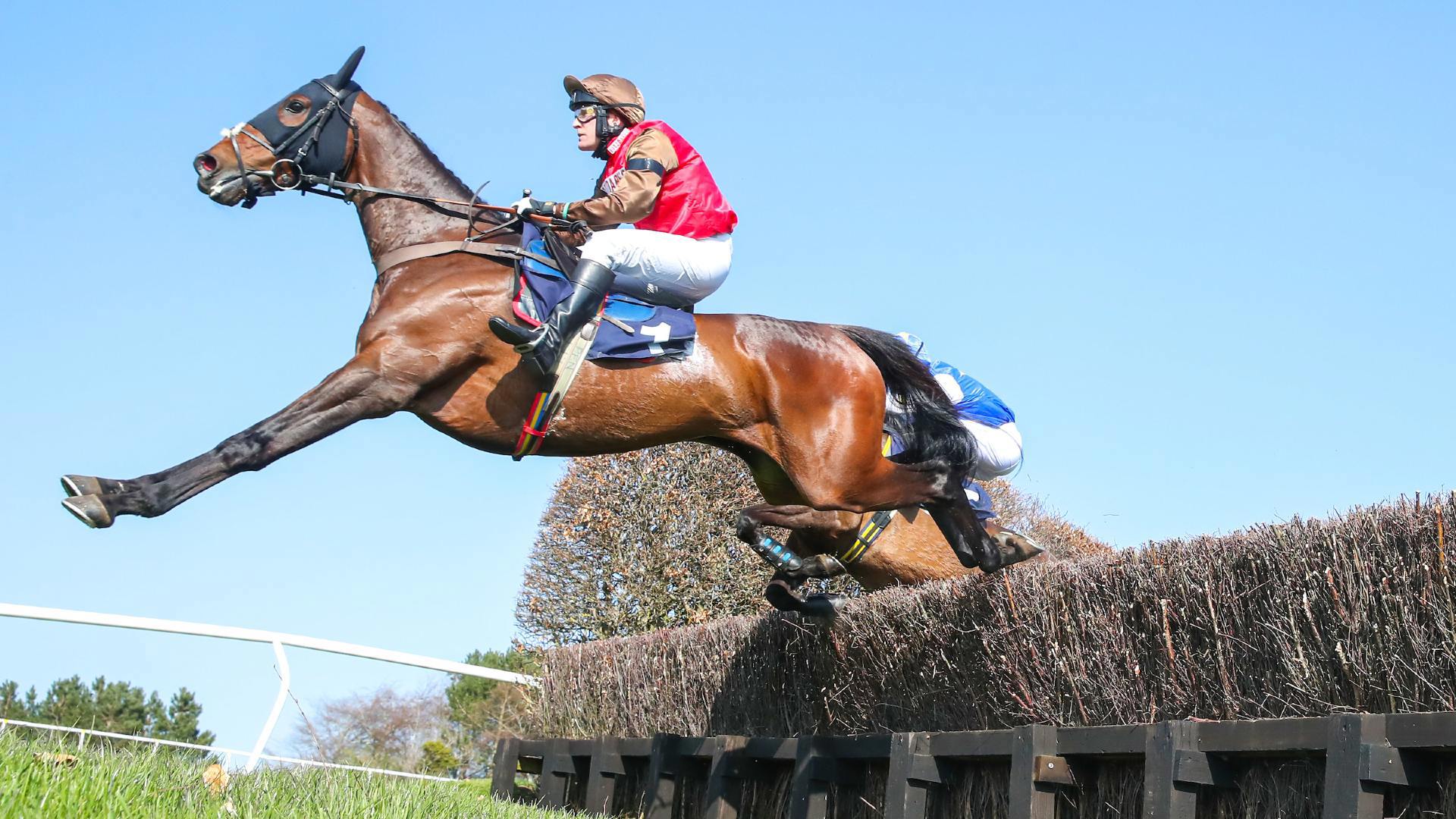 Hexham Easter Raceday