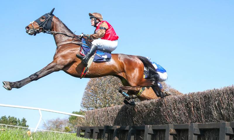 Hexham Easter Raceday