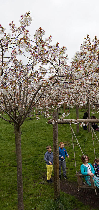 Seaons-spring-HERO-The-Alnwick-Garden