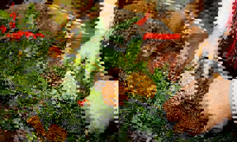 wreath-making-belsay