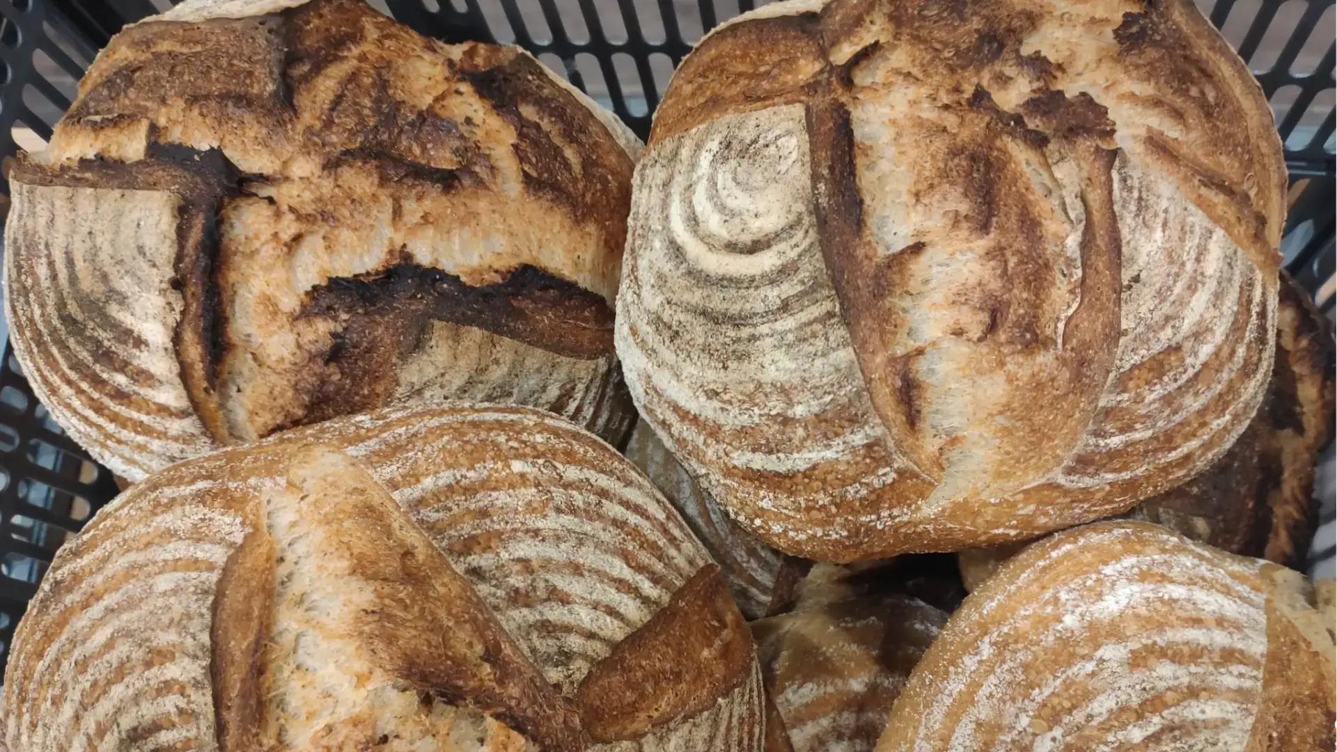 Bibi Bakers