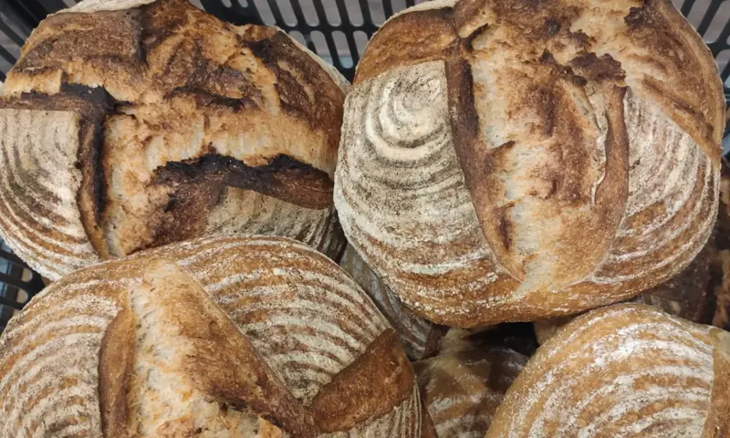 Bibi Bakers