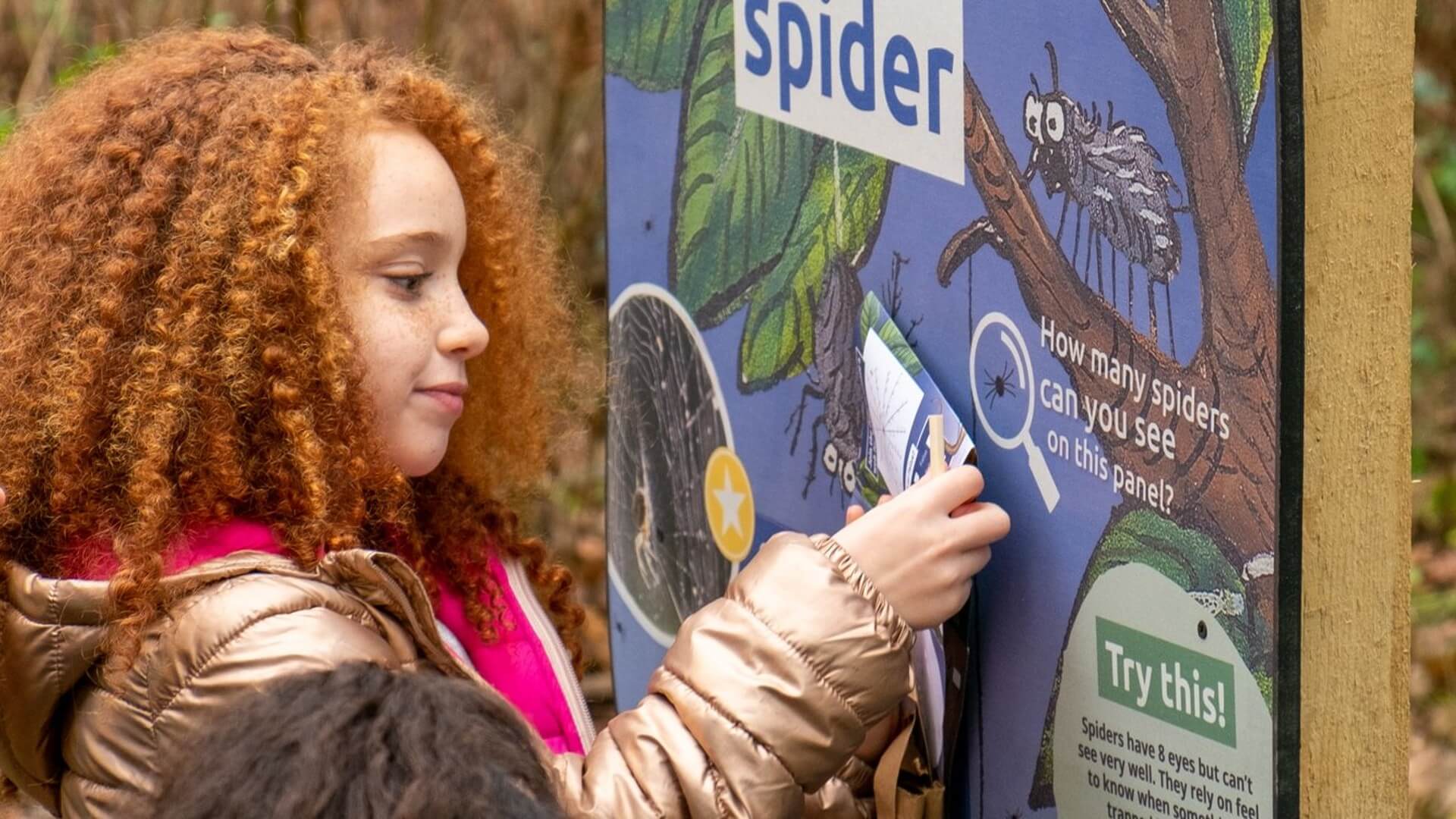 Superworm_website_3