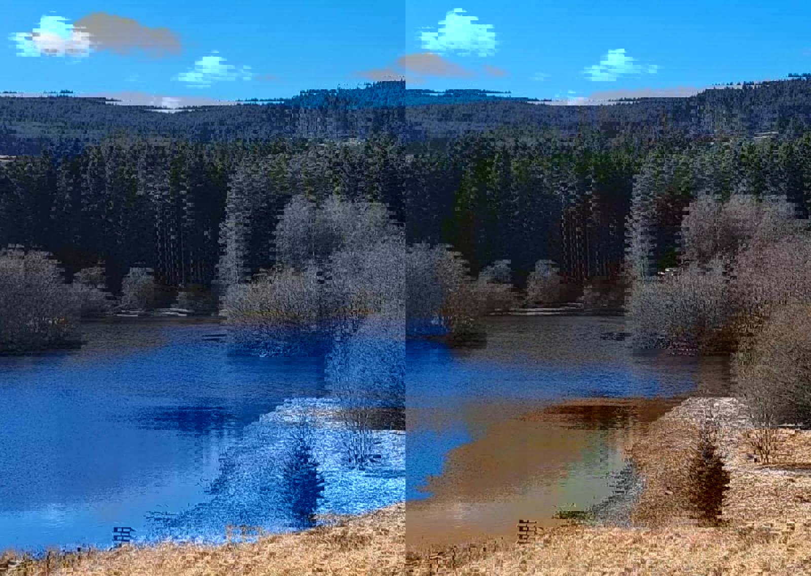 Kielder