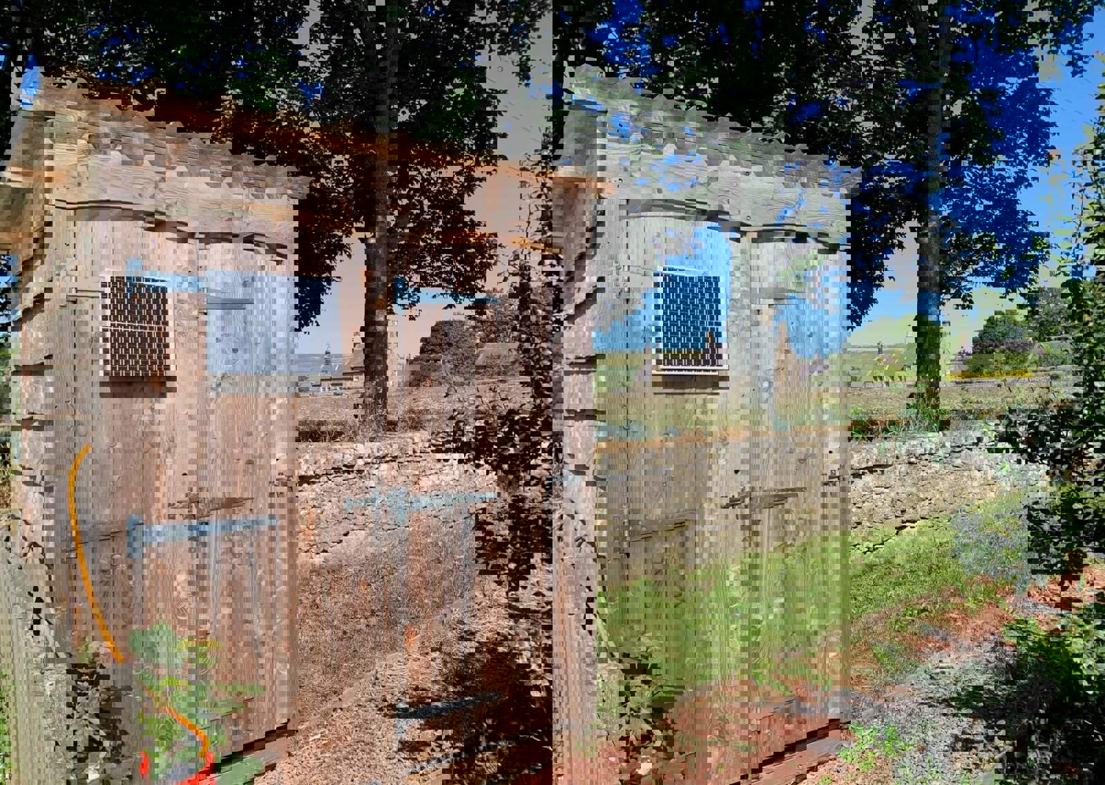IMG_2295