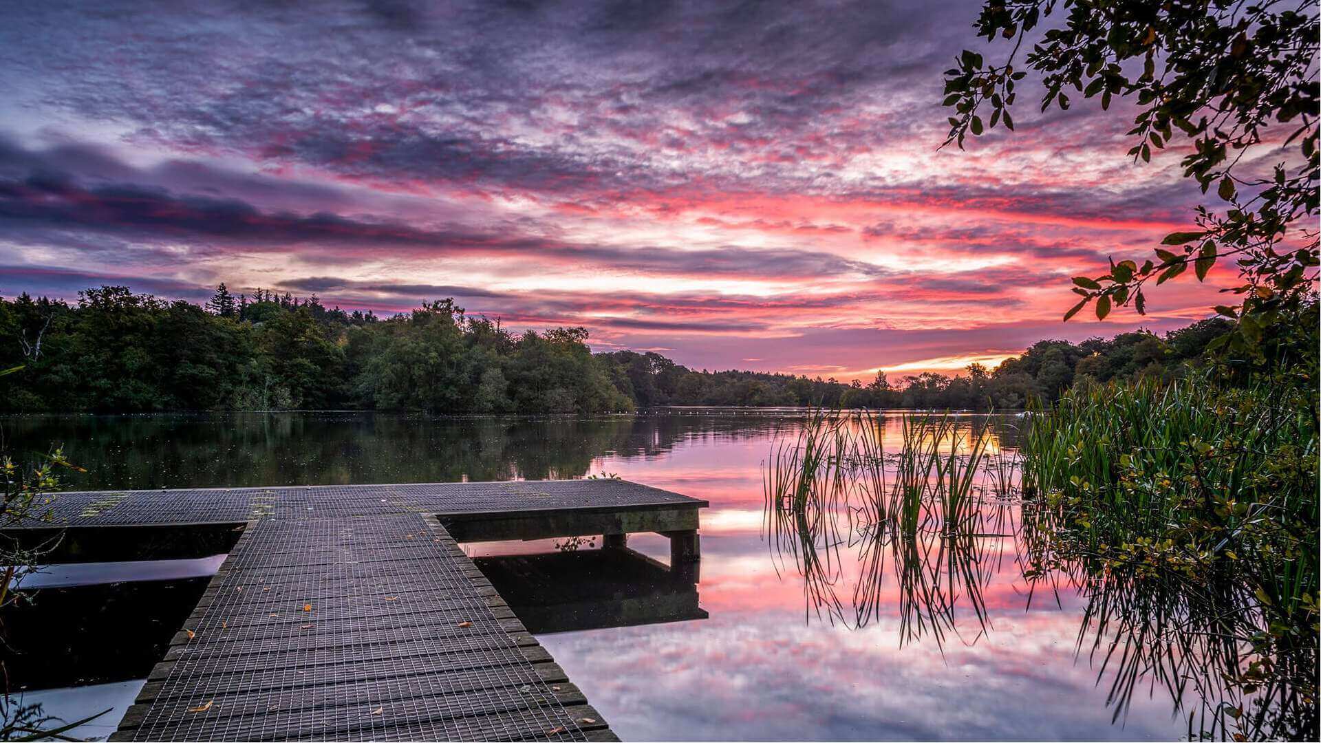 Bolam-Lake-Robin_purser