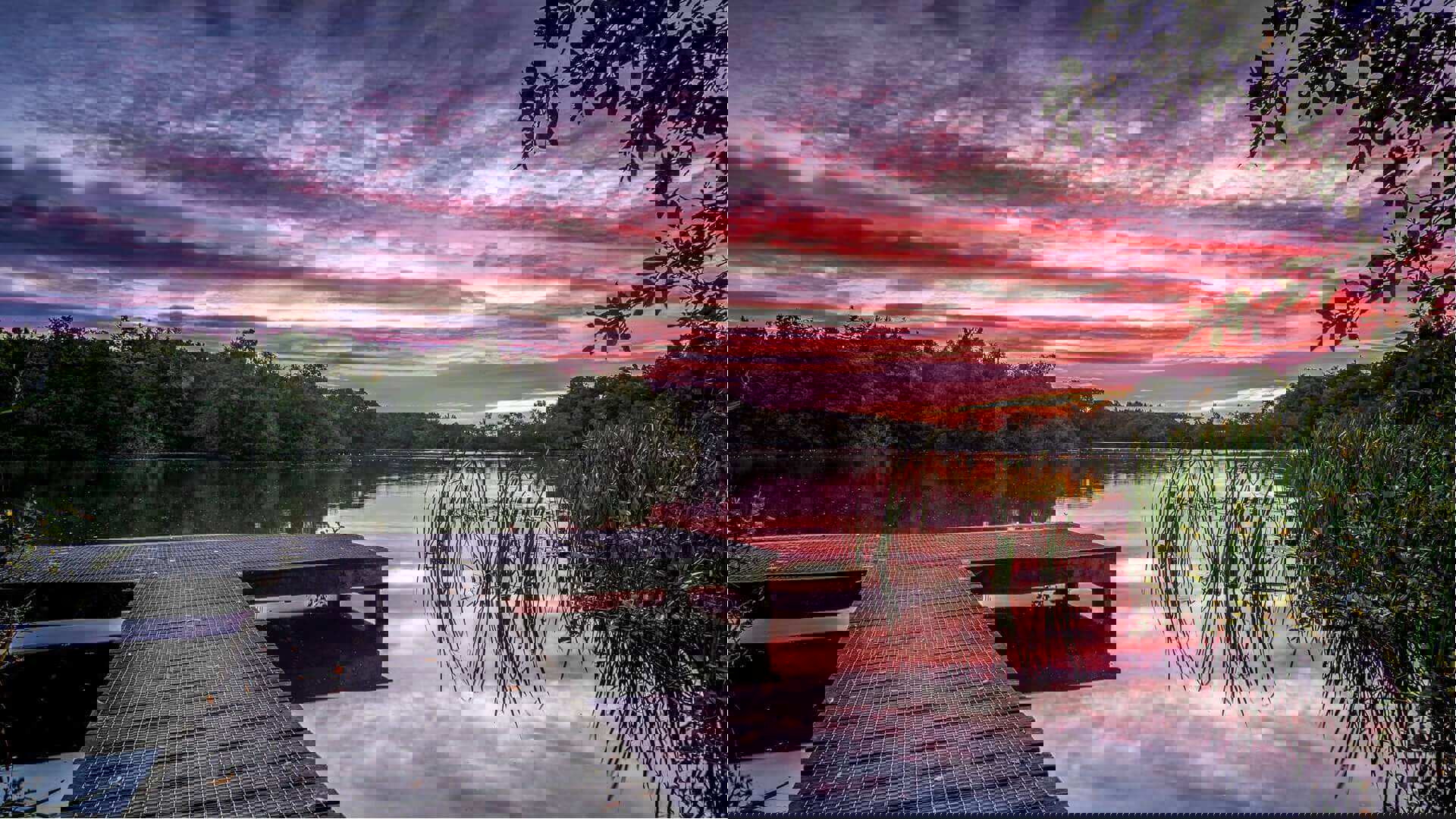 Bolam-Lake-Robin_purser