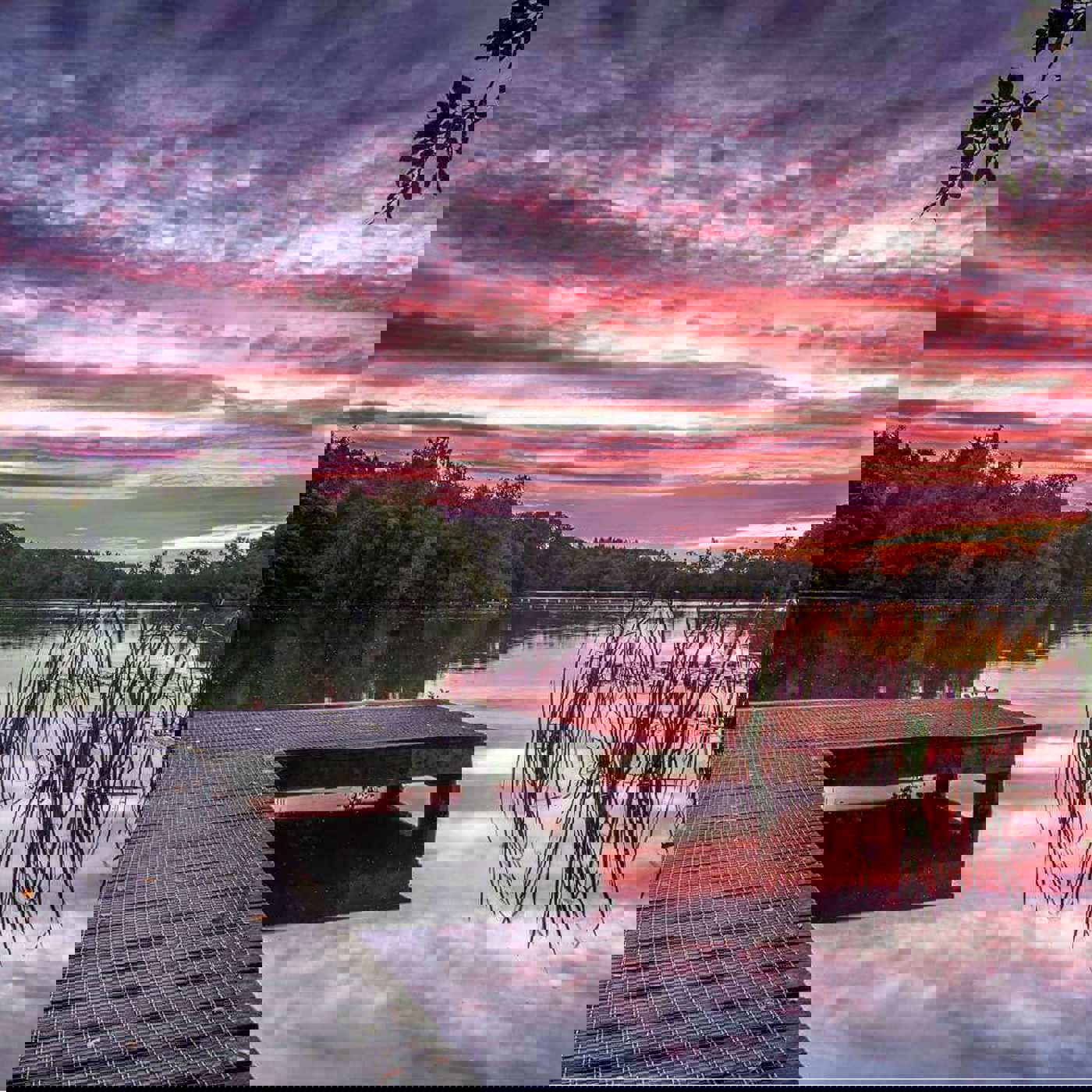 Bolam-Lake-Robin_purser