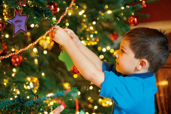 National trust brings christmas spirit to north east