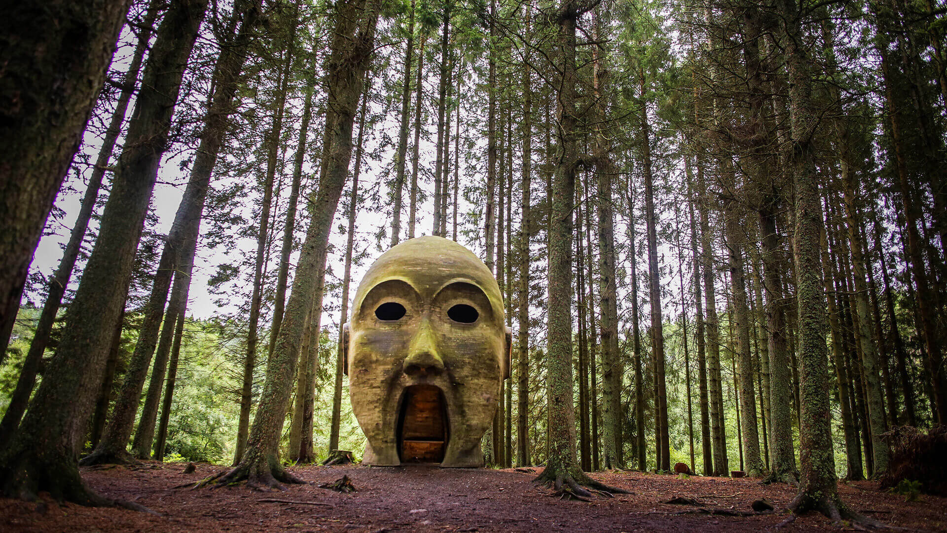 Silvas-capitalis-HERO-credit-Neil-Denham