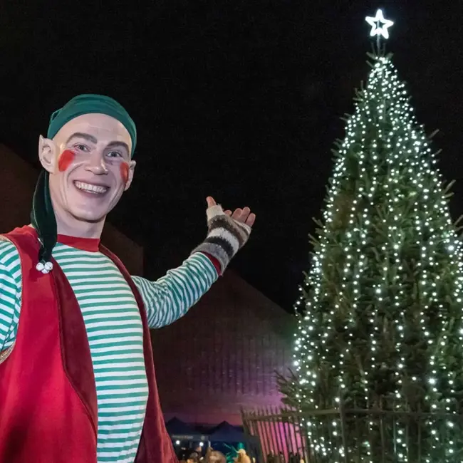 Blyth Christmas