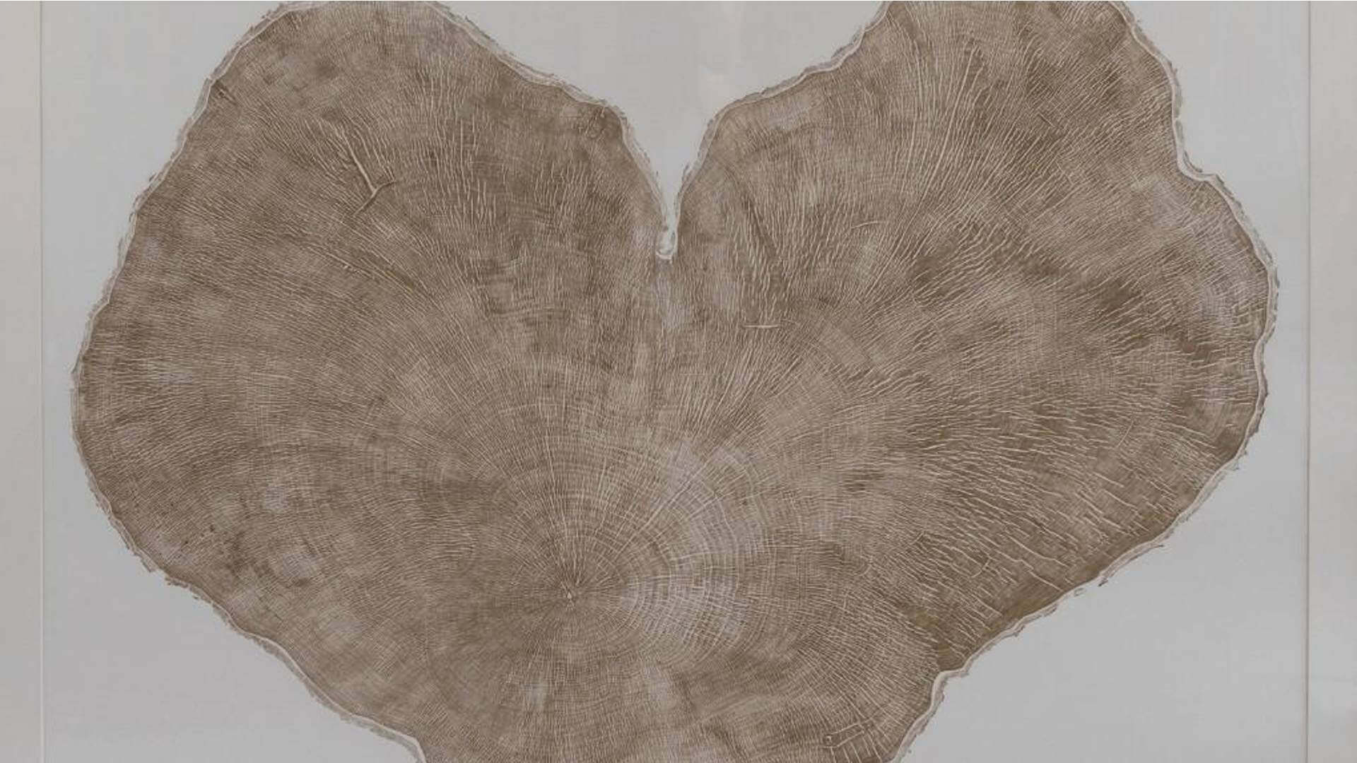 sycamore-gap-exhibition-hero