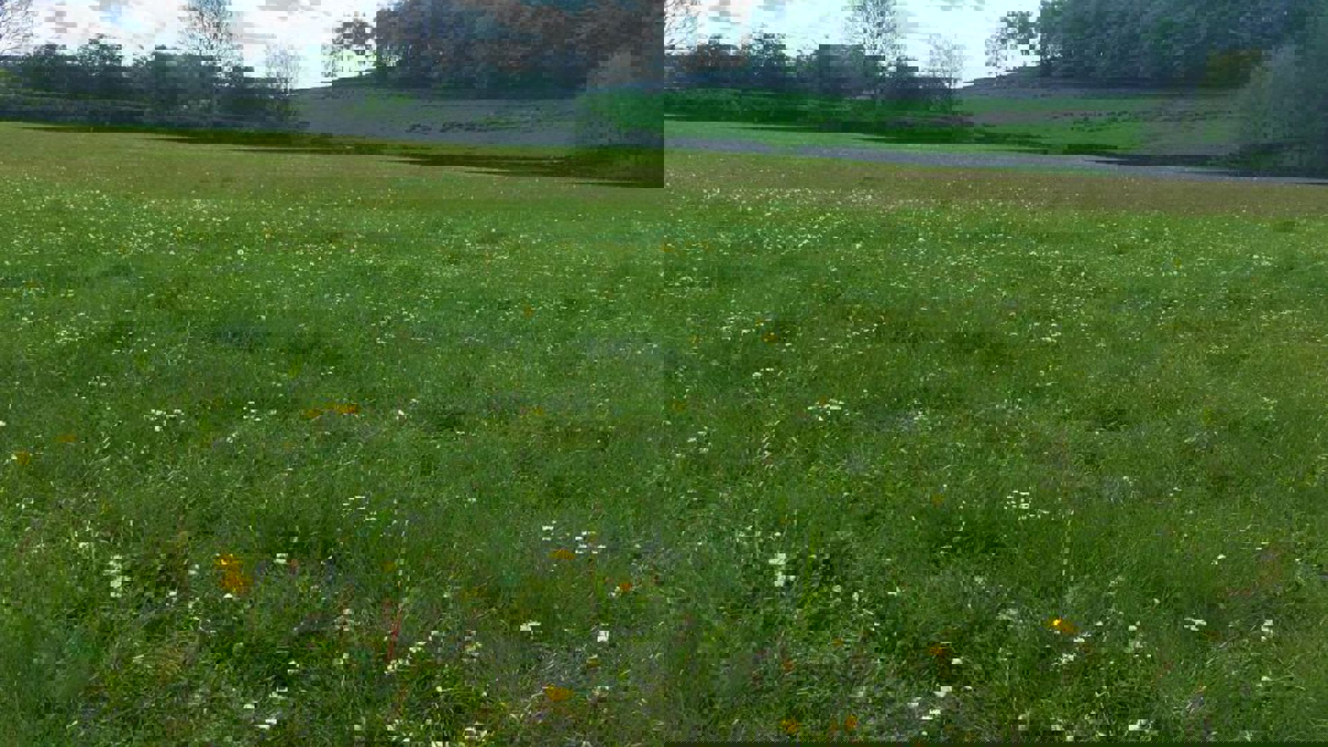 vn-large-Hadrian-s-Meadow-