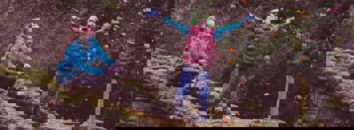 Autumn Footer National Trust Tint