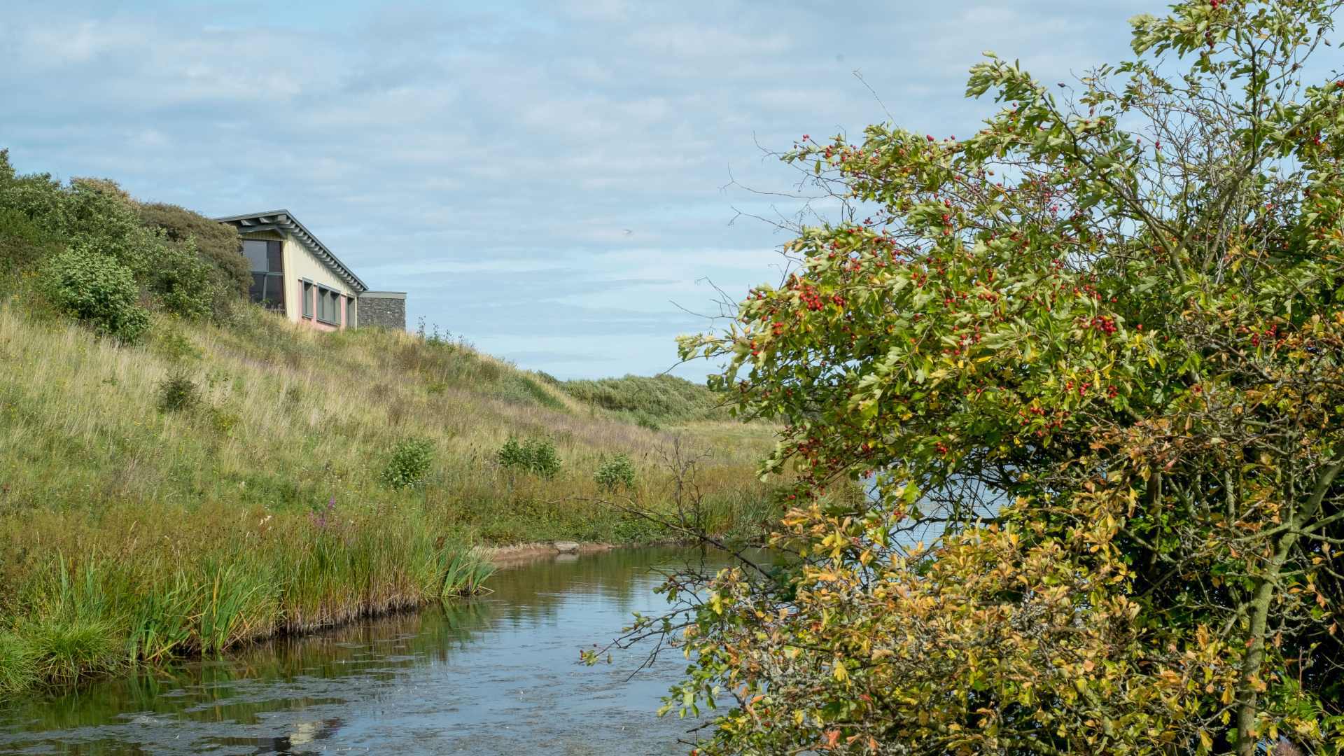 Hauxley Wildlife Discovery Centre