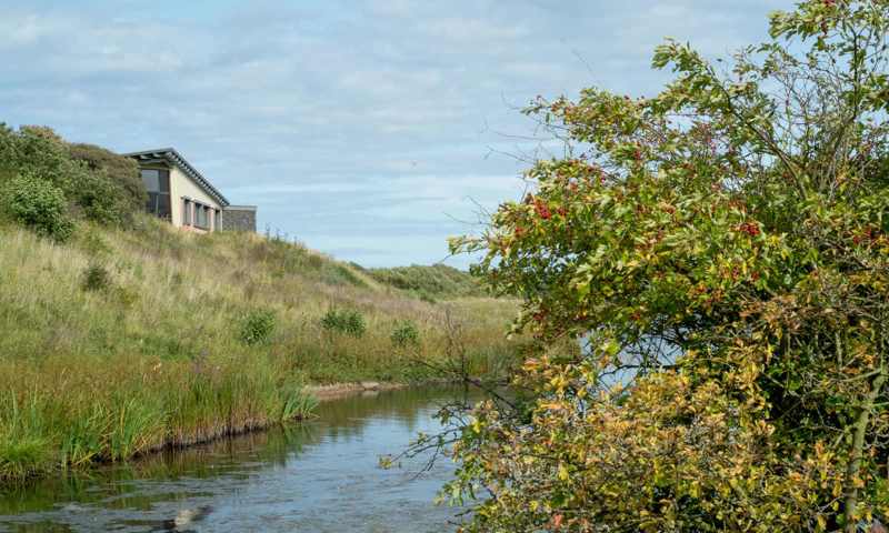 Hauxley Wildlife Discovery Centre