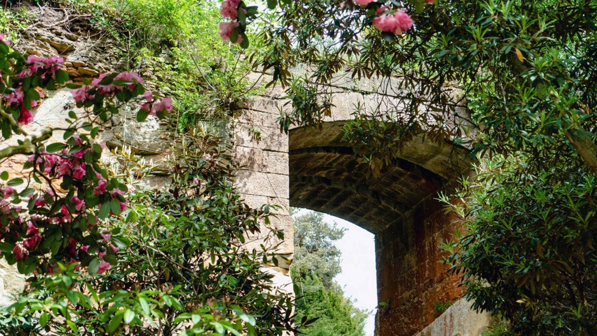 Belsay Summer Craft Fair