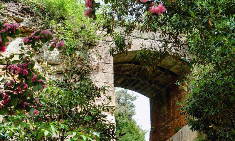 Belsay Summer Craft Fair