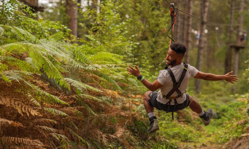 Go Ape Dadventure