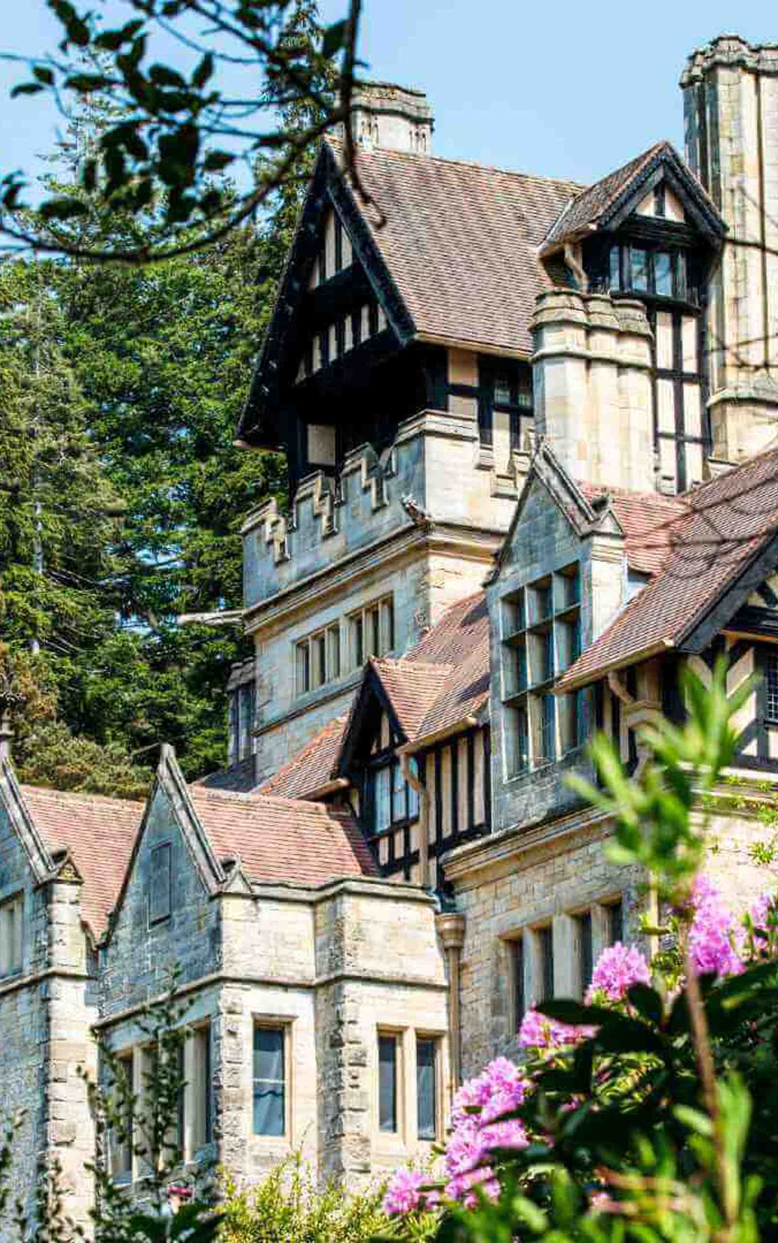 Cragside House | Gardens and Estate | Attractions | Visit Northumberland