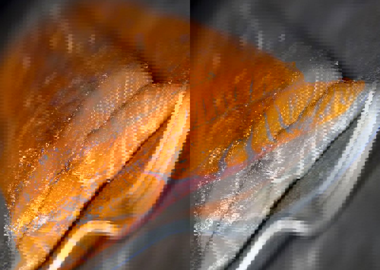 vn-large--Crewe-smoked-salmon.jpg