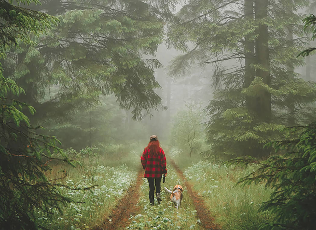 Kielder-forest-HERO-credit-@hannah_goes_exploring
