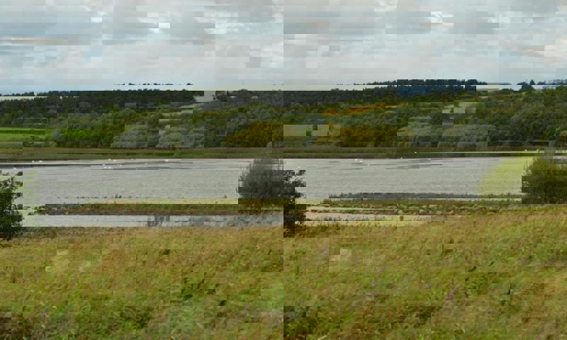 fungal-foray-nwt