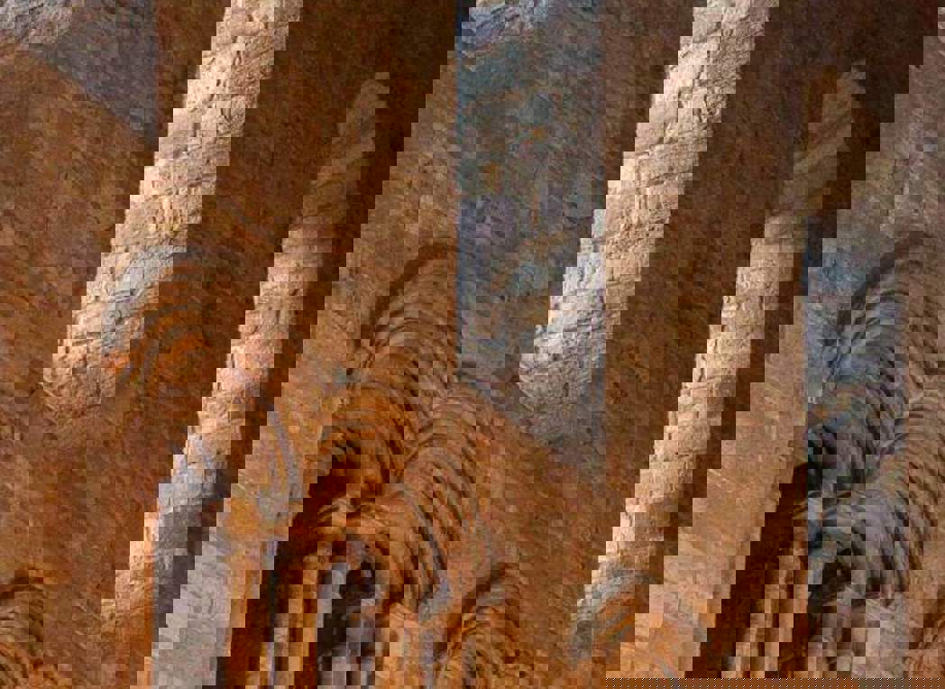 brinkburn-priory-feature