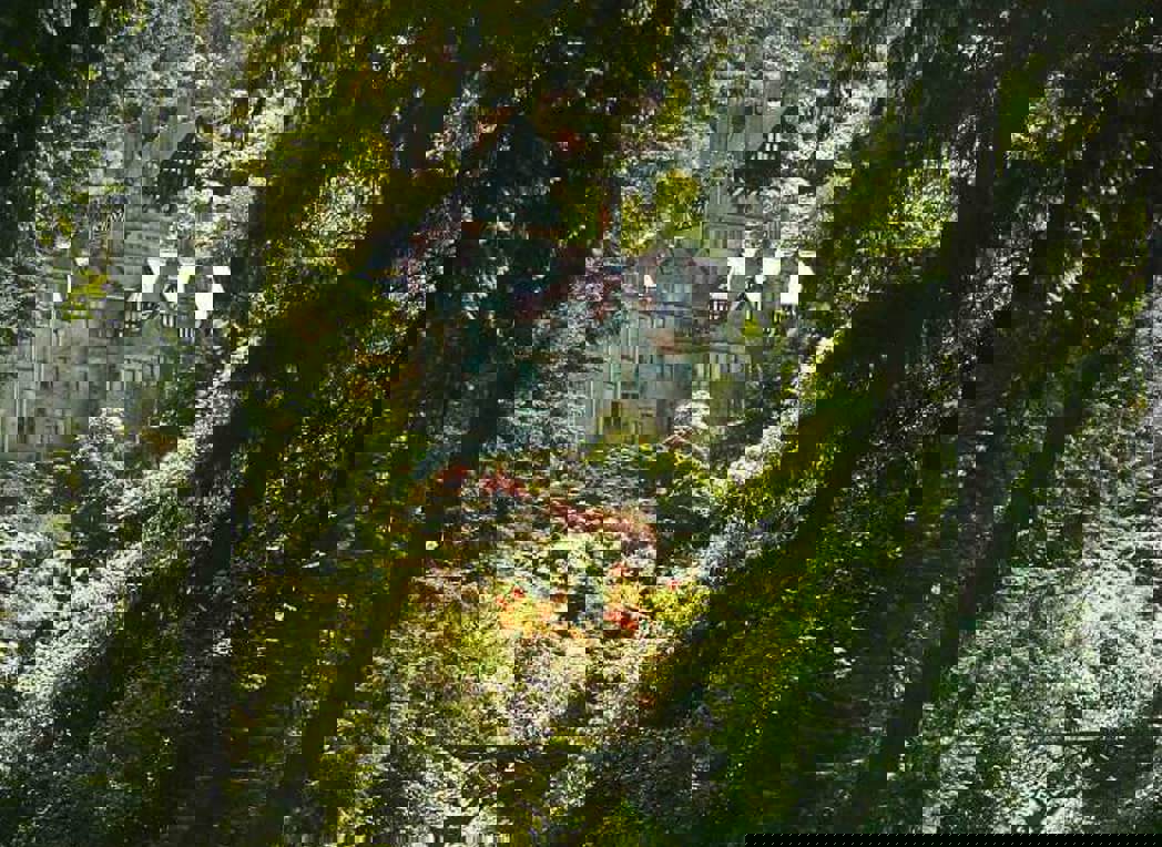 cragside-feature-image