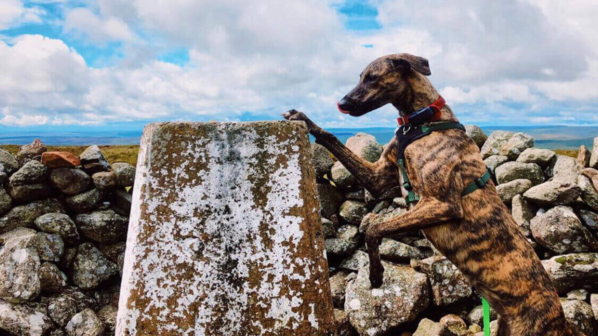 Scenic-spots-Cheviots-HERO-@northernrambles