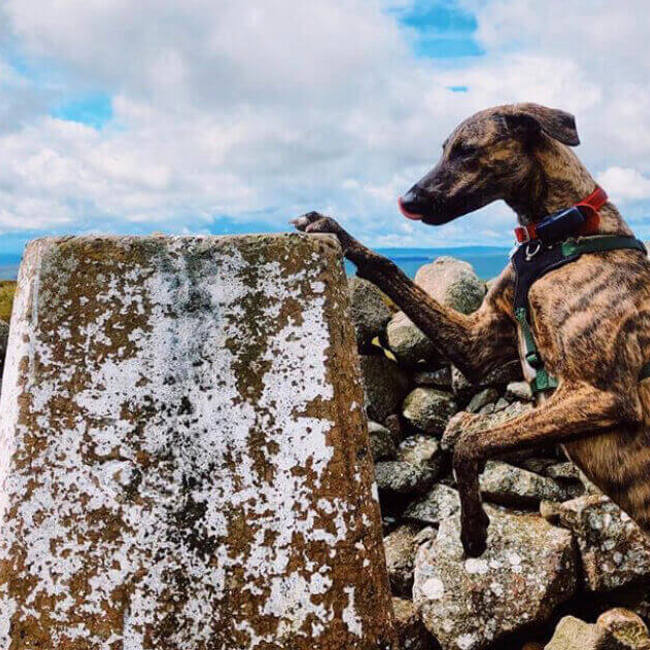 Scenic-spots-Cheviots-HERO-@northernrambles