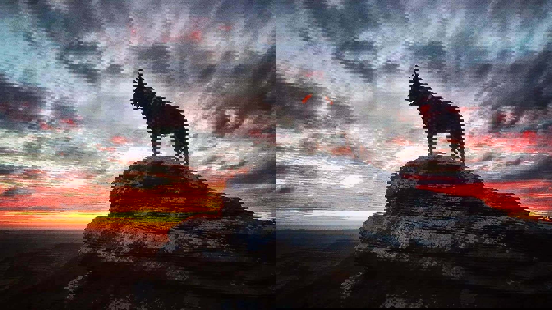 Rothbury-hero-at_northdognorthumberland