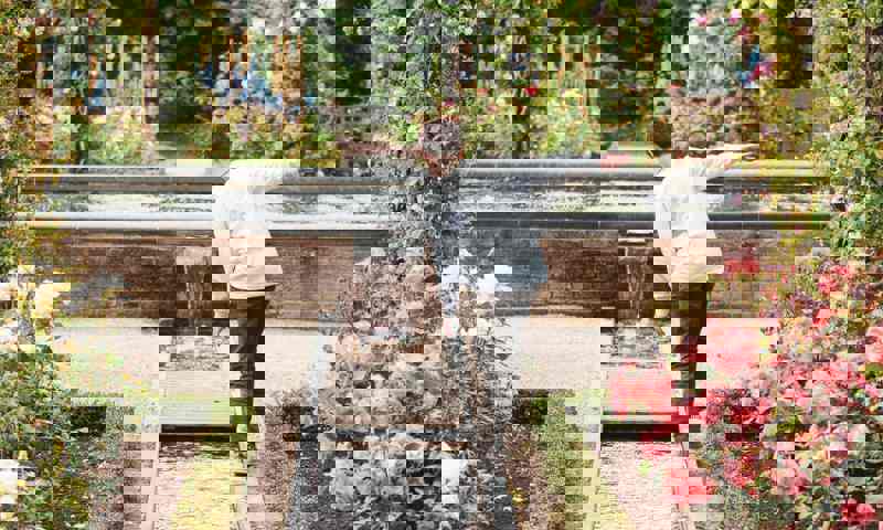 Kid-Ornamental