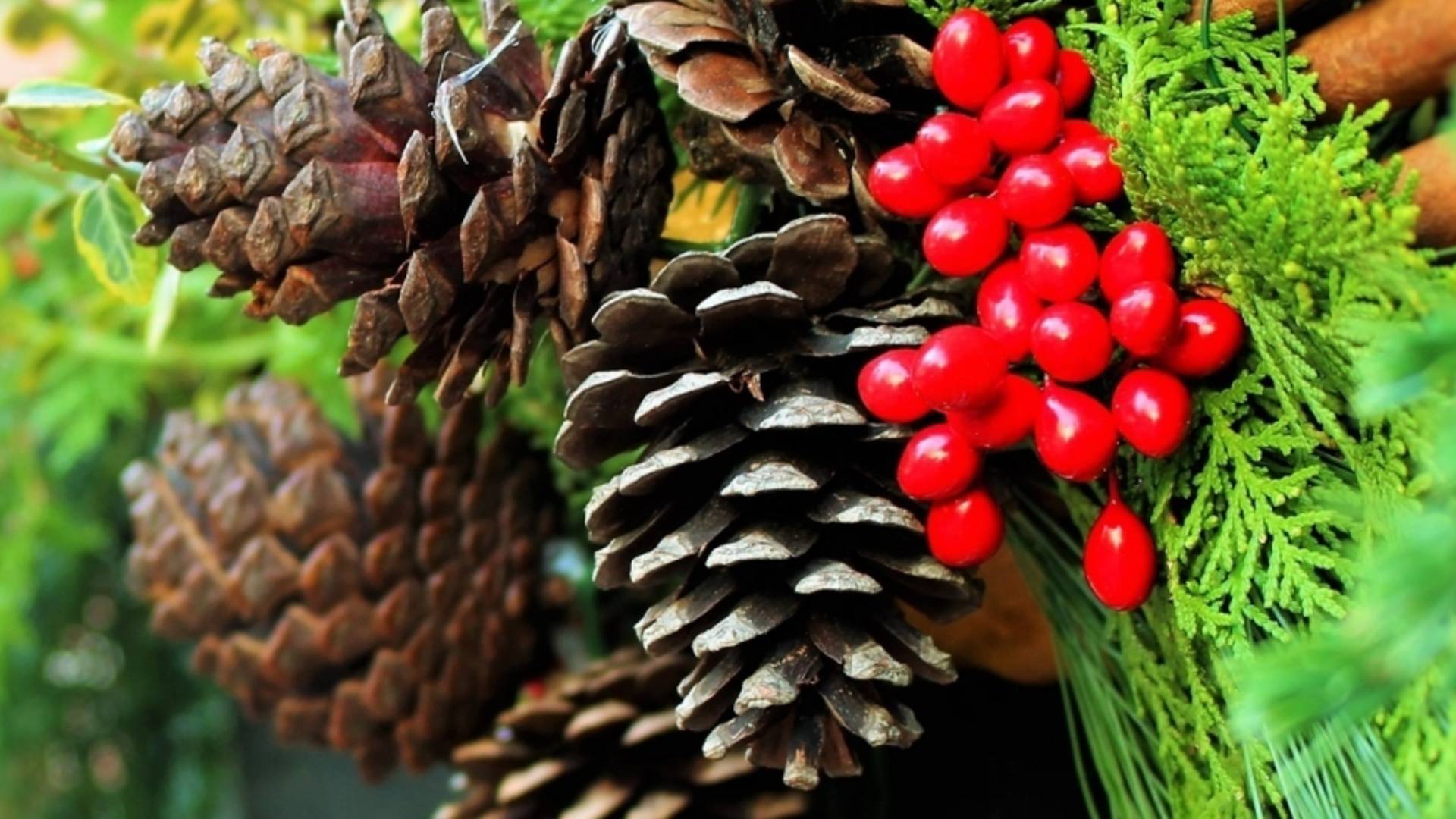 Northumberlandia Festive Gathering