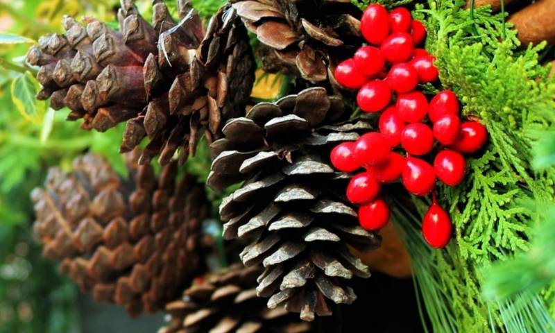 Northumberlandia Festive Gathering
