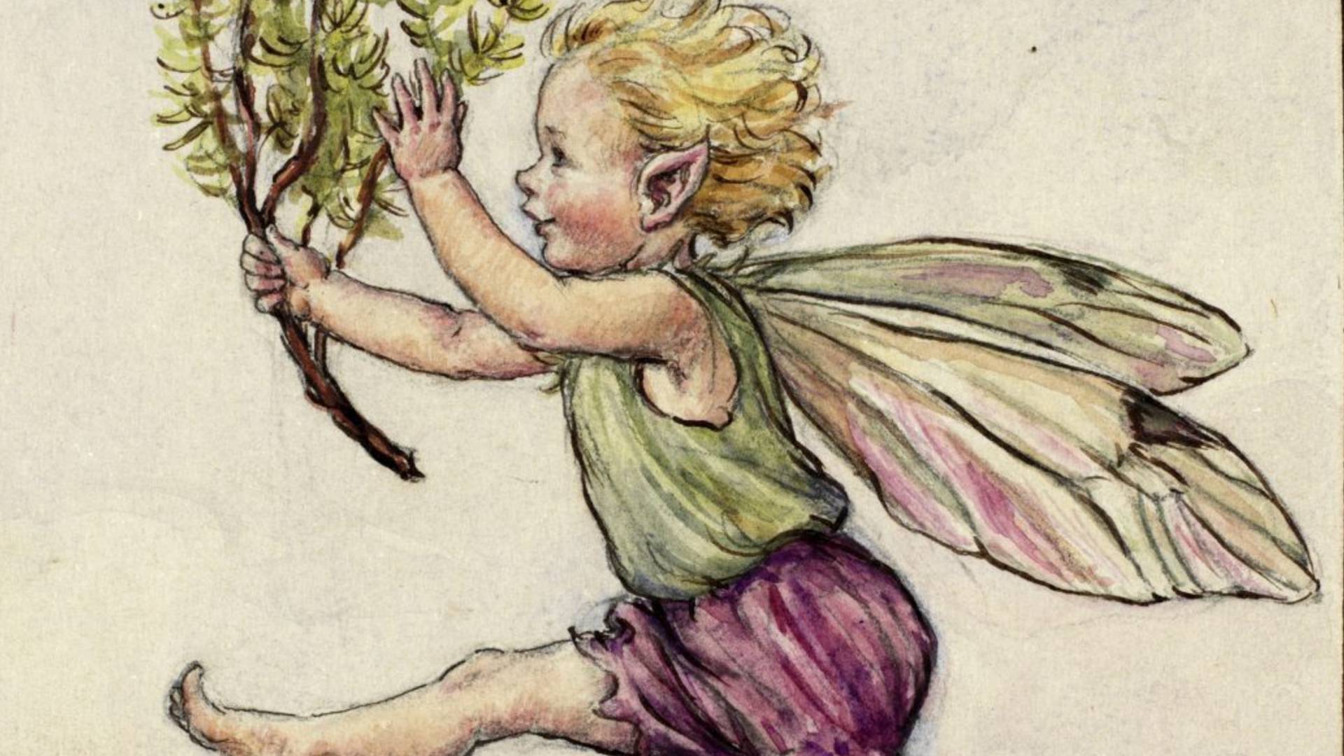 Flower Fairies The Sill
