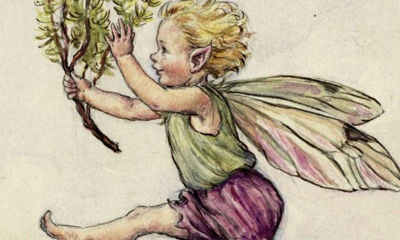 Flower Fairies The Sill