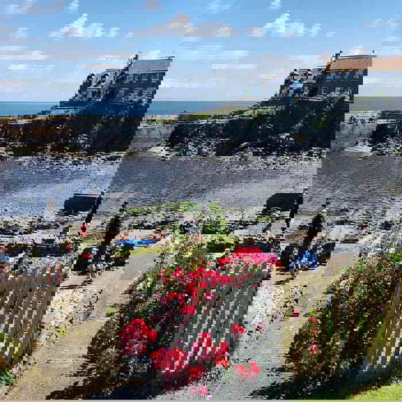 craster_@steventunesi