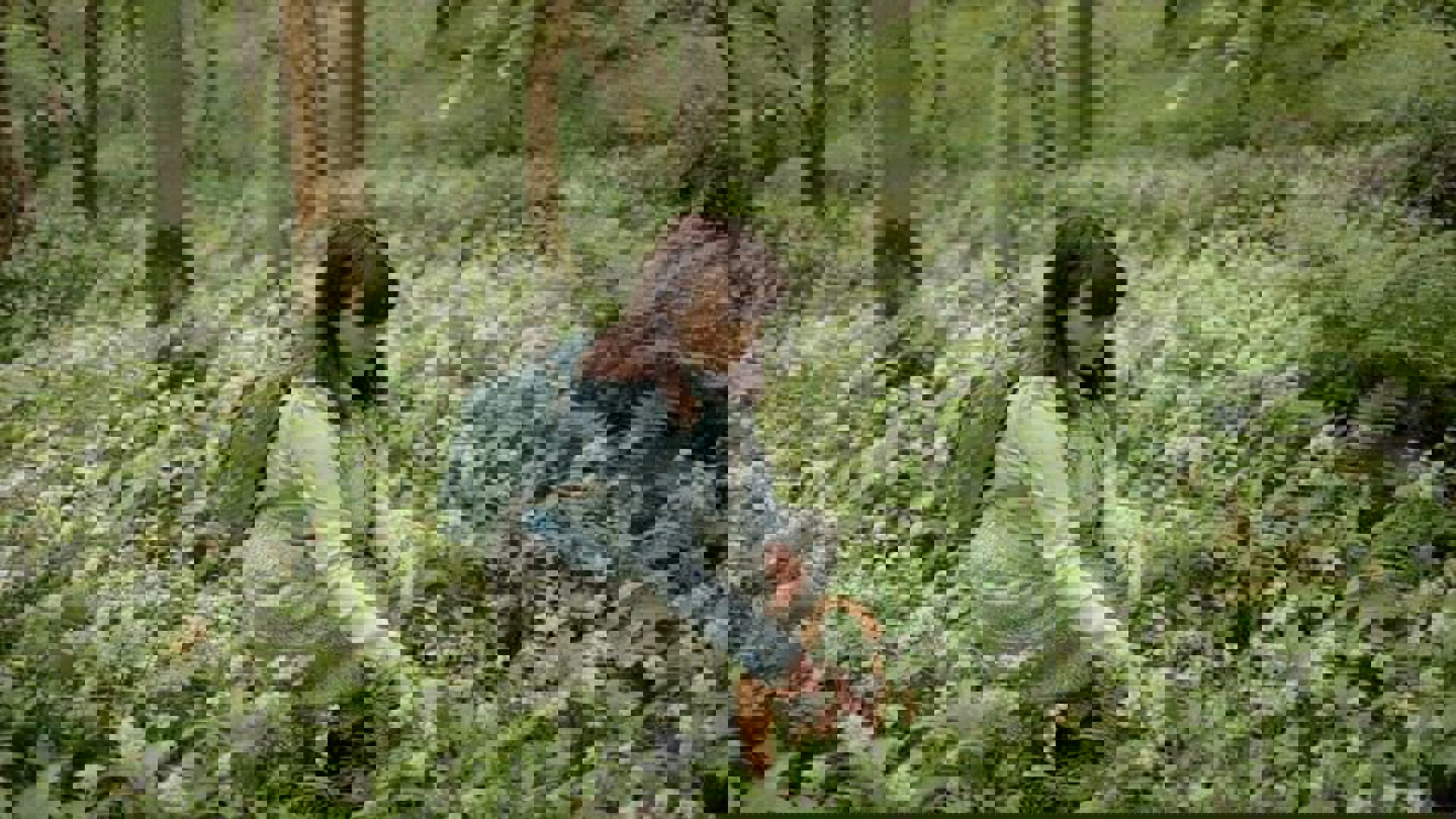 The-Cramlington-Forager