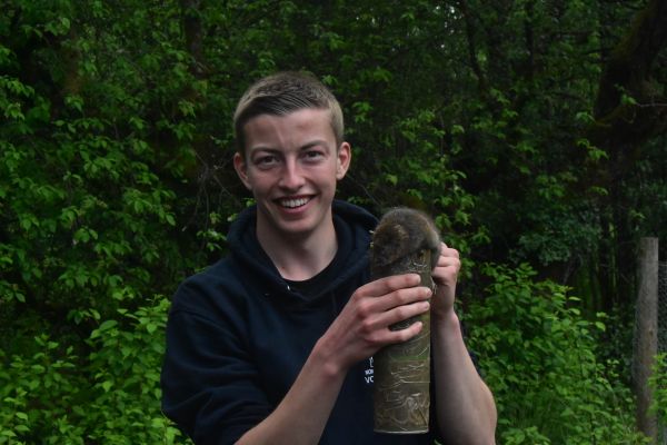 Fifth release of water voles a great success