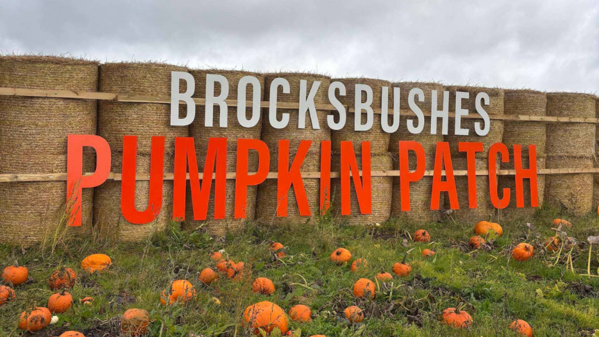 Brocksbushes Pumpkins